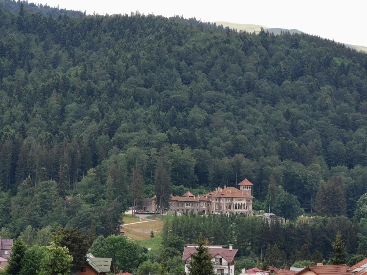 Hotel Iri Буштені Екстер'єр фото